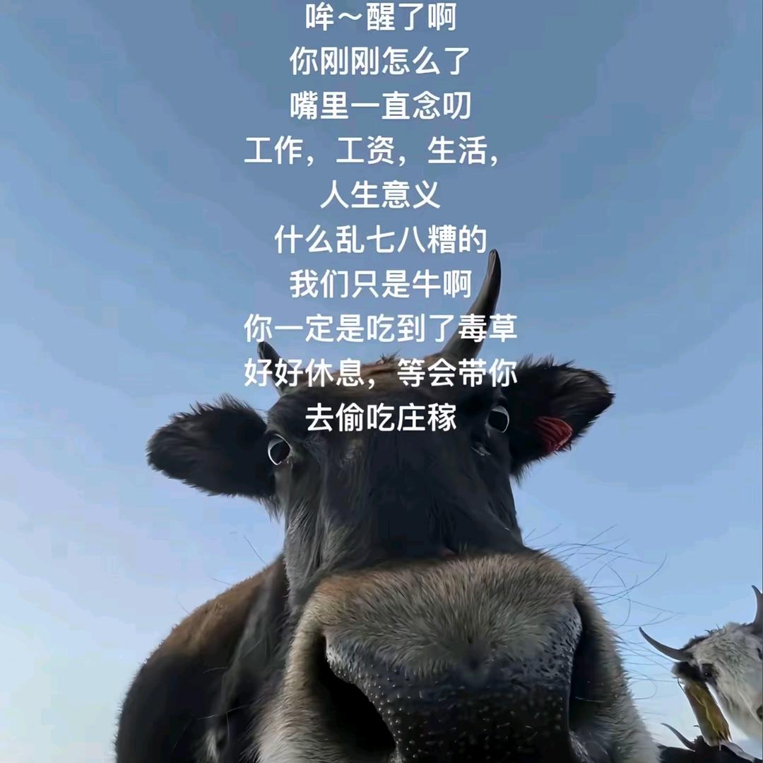 三十而立