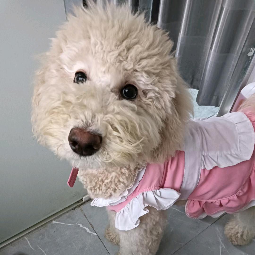乔妹头像