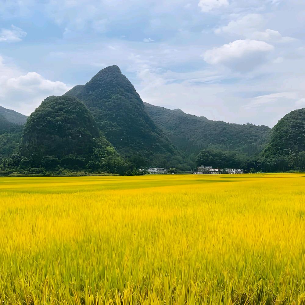 ！！！！！星月满屋