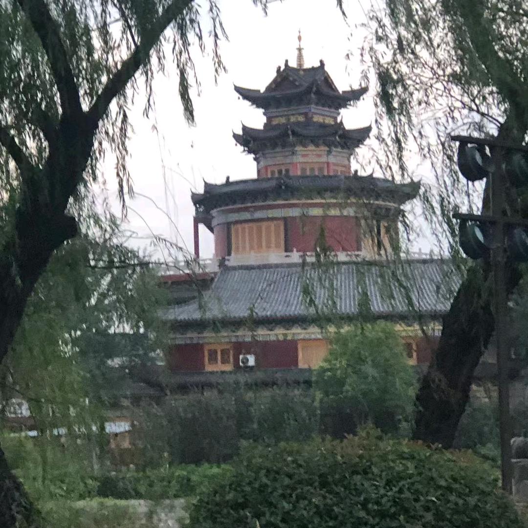 再也骗不了自己🐟