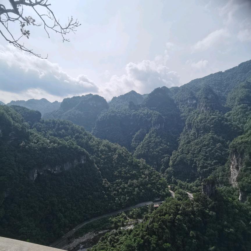 心心相融