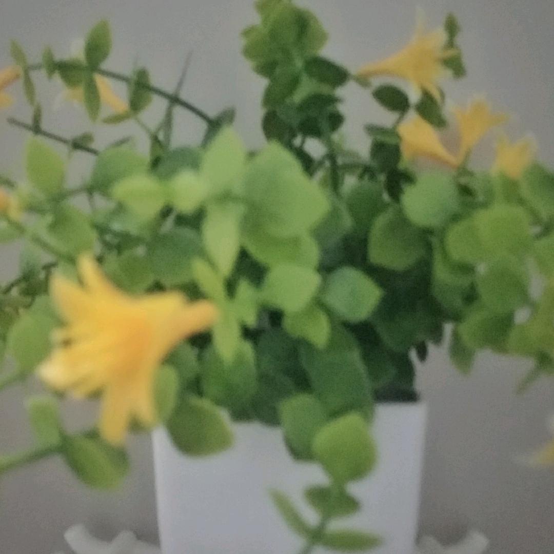 《！！》