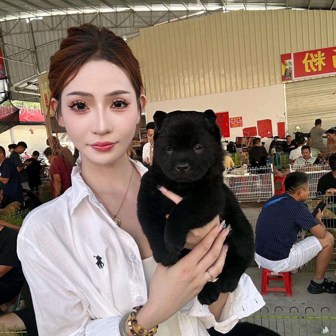 潘潘（淘亿只犬）