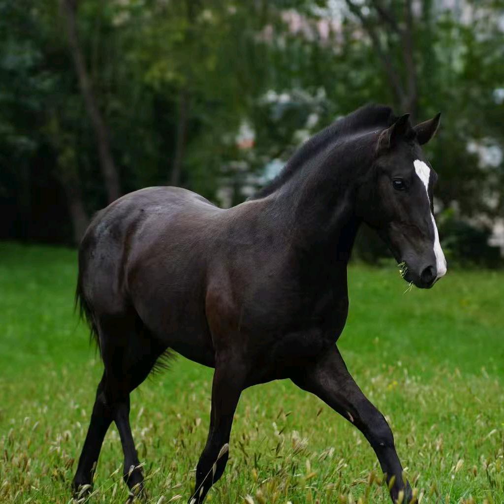 陌生的地方，陌生的人。