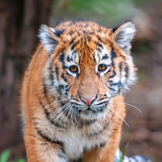 放下过去，一切从头再来。