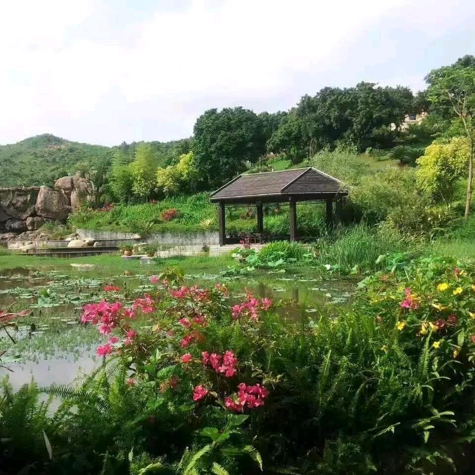 吃糖很甜