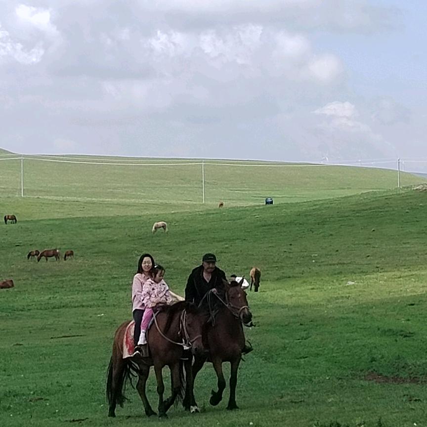 辉腾锡勒草原骑马张教练