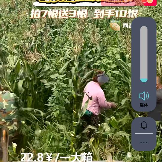 热爱生活