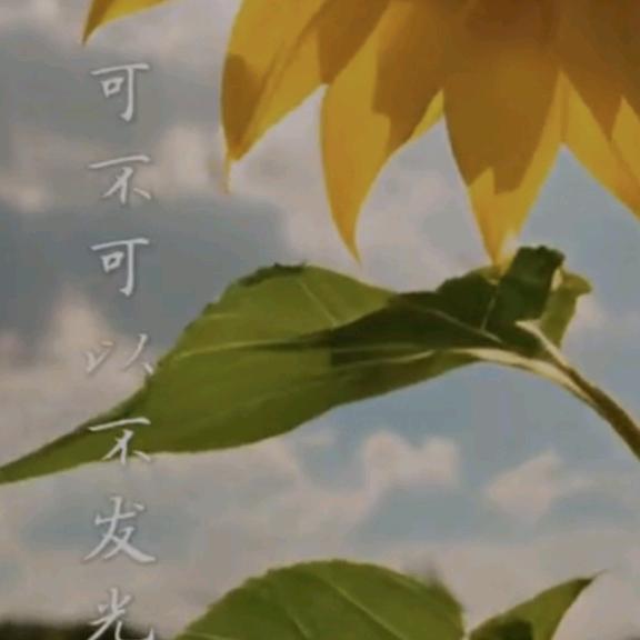 好好生活，好好工作