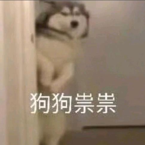 白天齐