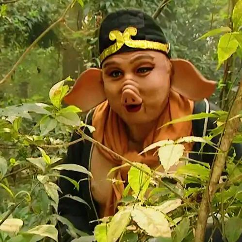 游山玩水猪八戒