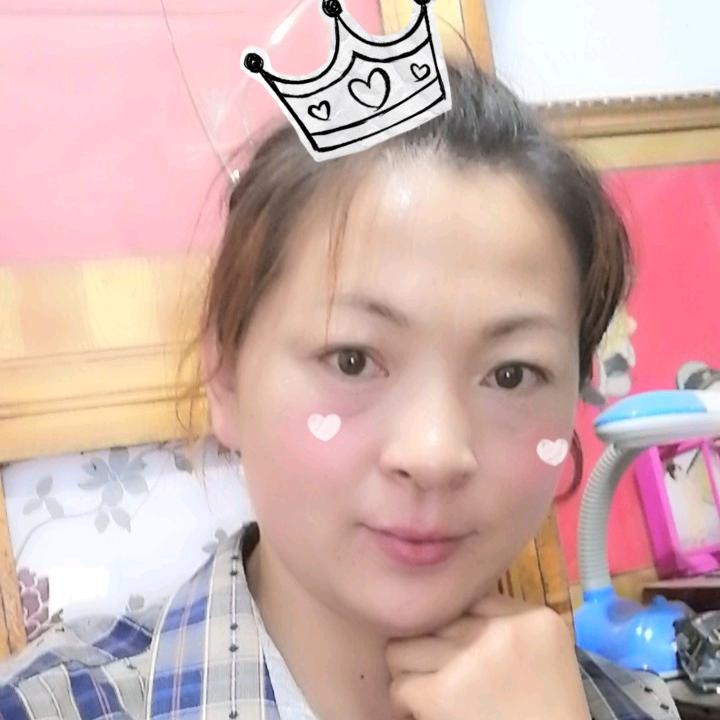 奋斗的小鸟