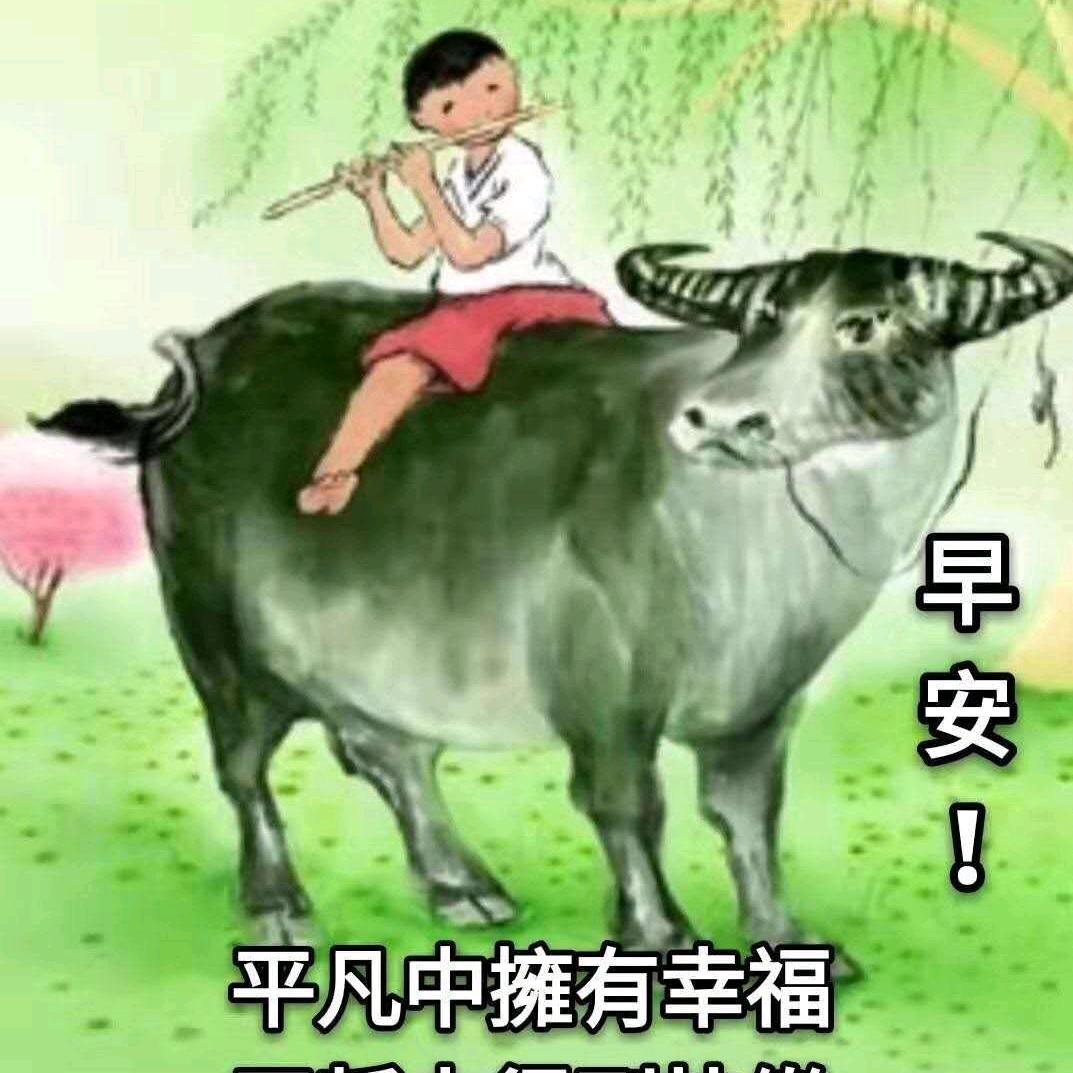 九月的宝