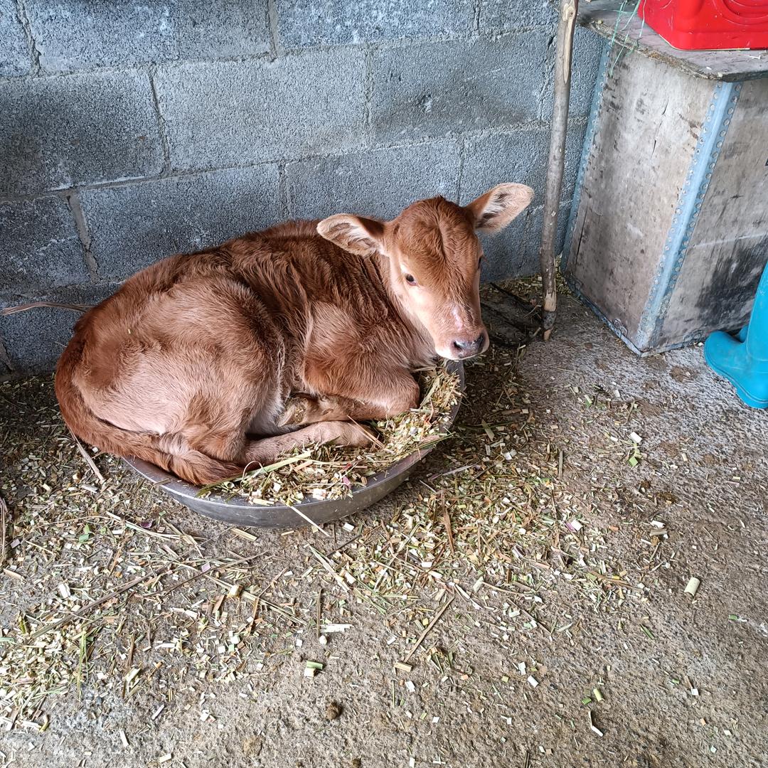 佳荣原生态养殖场