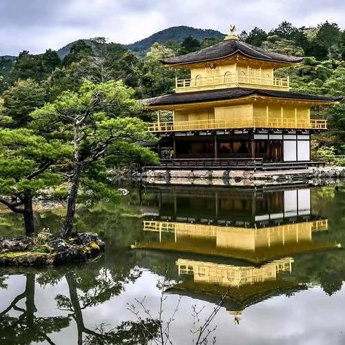 老师的日本生活