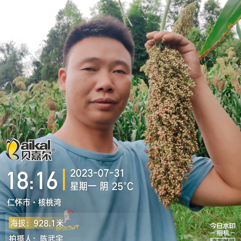 三三谈农资