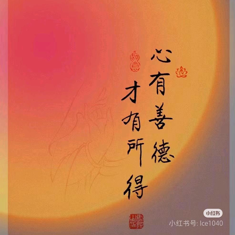 🌼向暖🌼