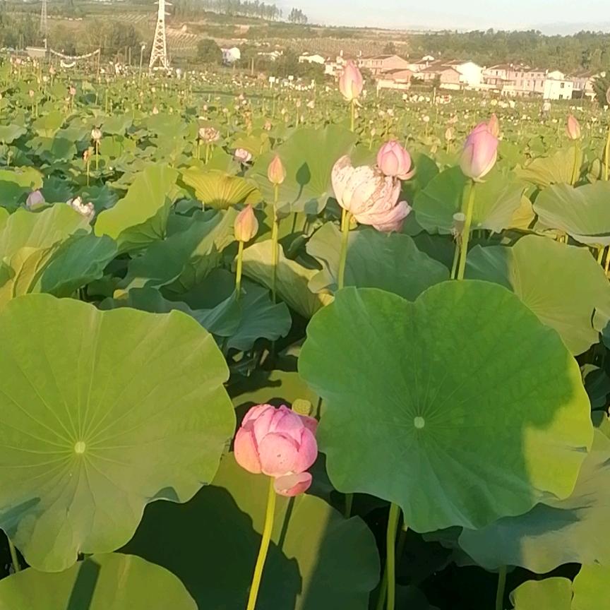 一生幸福