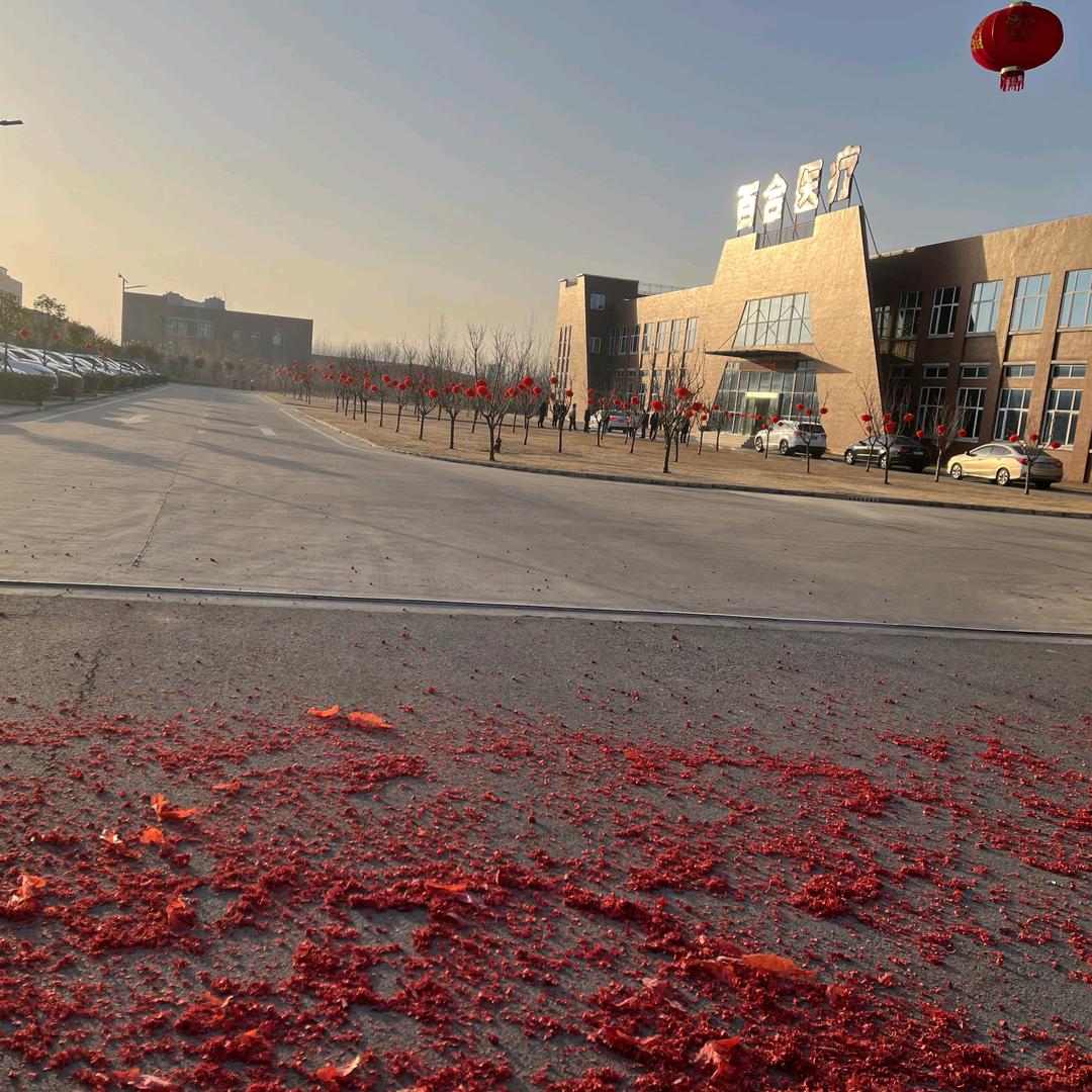 百合医疗（仙桃市）