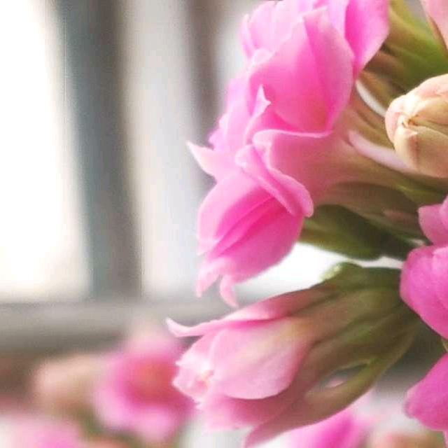 静听思语