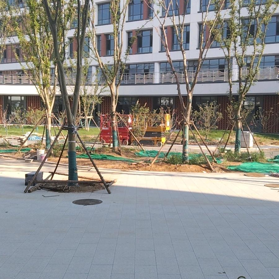 山东济南章丘市小帅哥小号