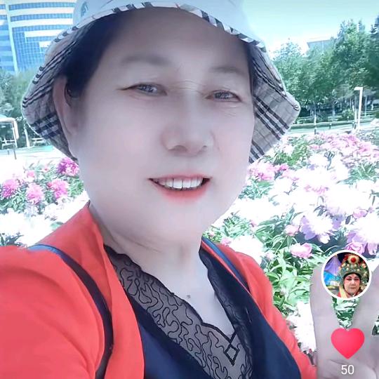 梅花欢喜