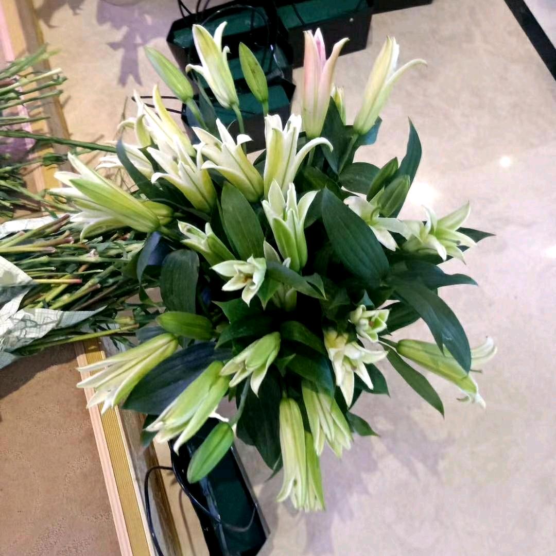 林州红旗渠大道移动营业厅