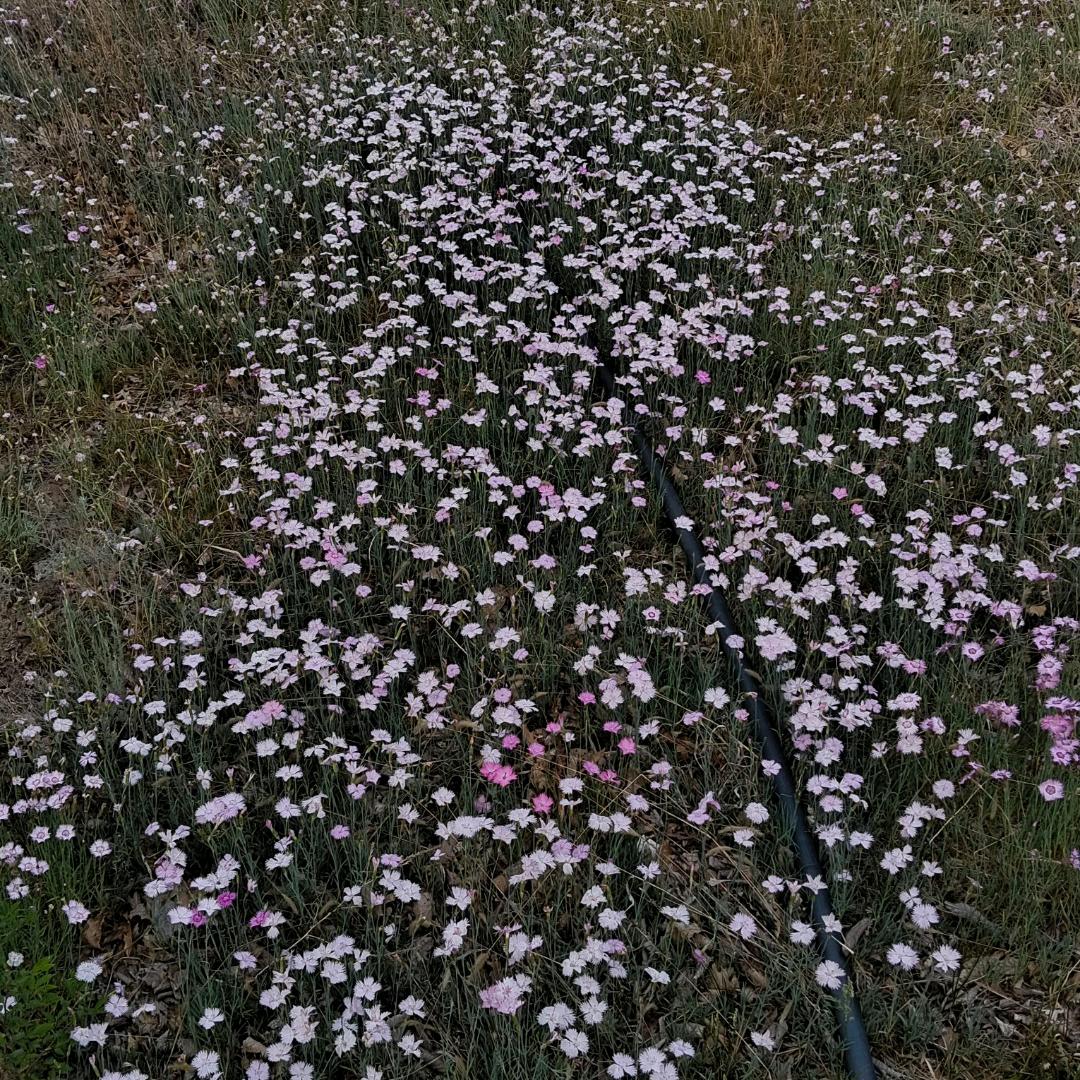 AAAAA建材市场营销中心总经理刘