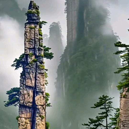 珍惜怀念
