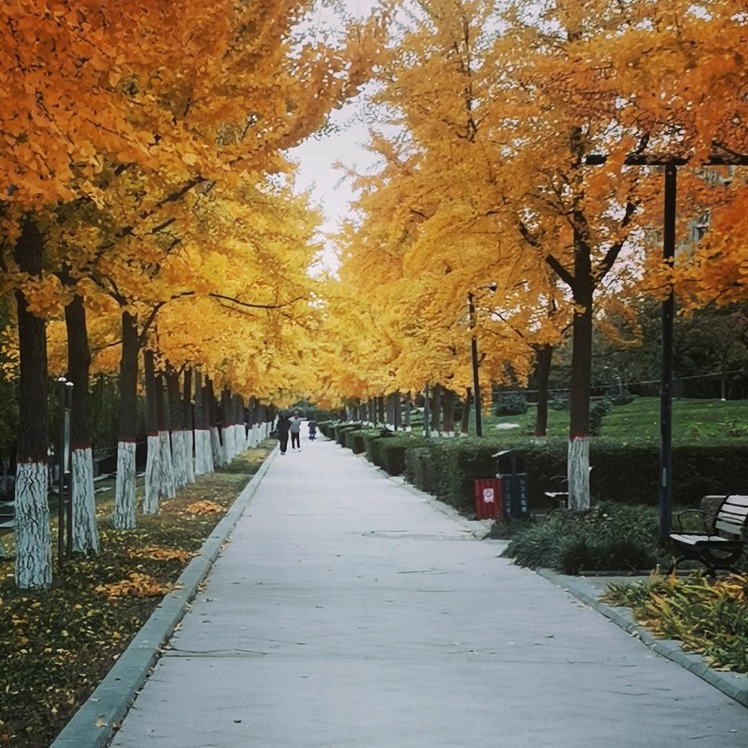 老田喜欢唱（每天上午9点直播）