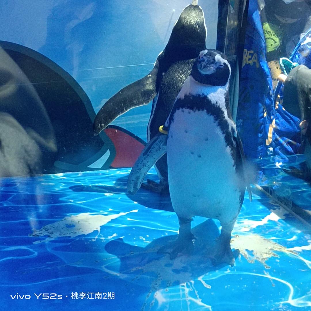 浅笑～曾经