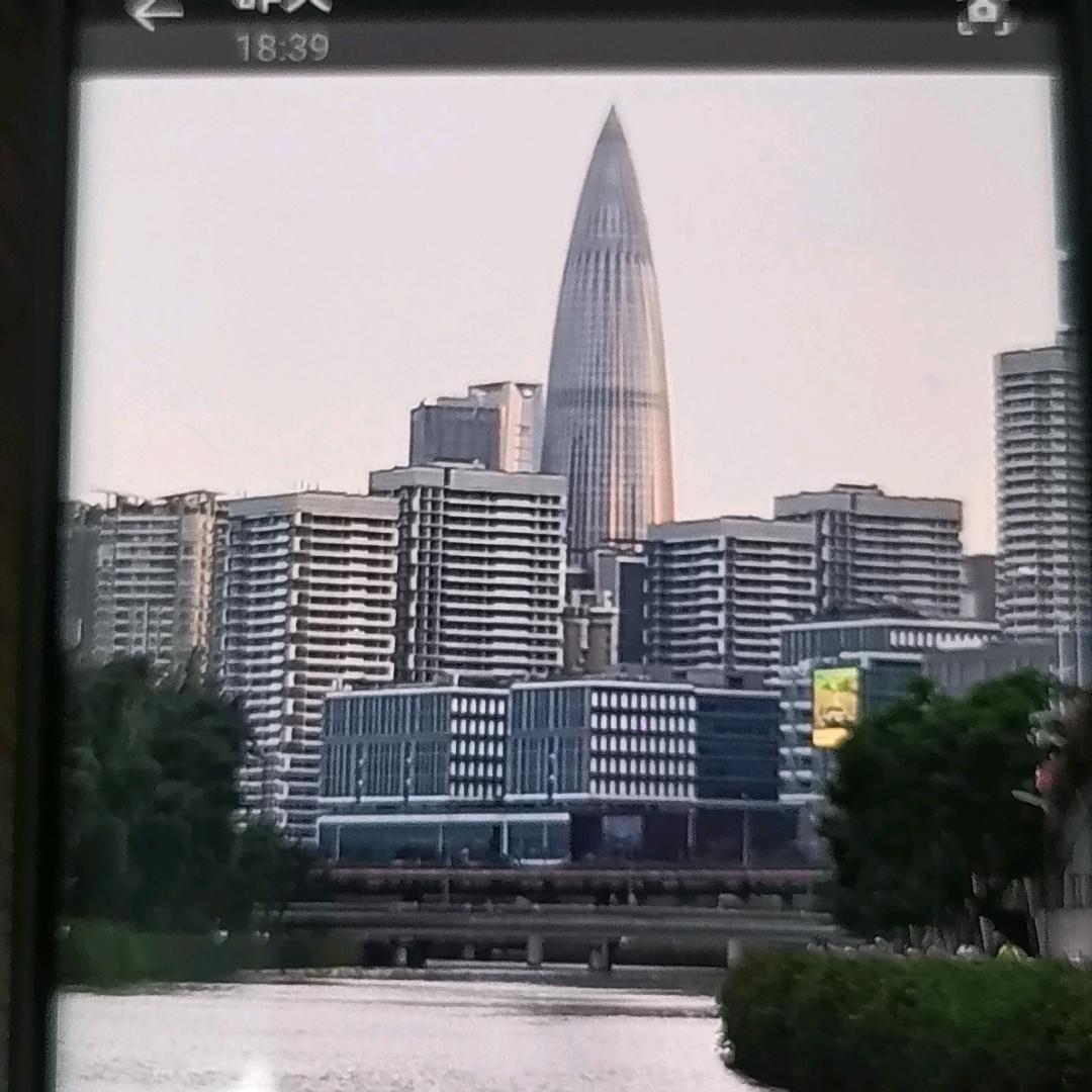 鸿雁栖湖