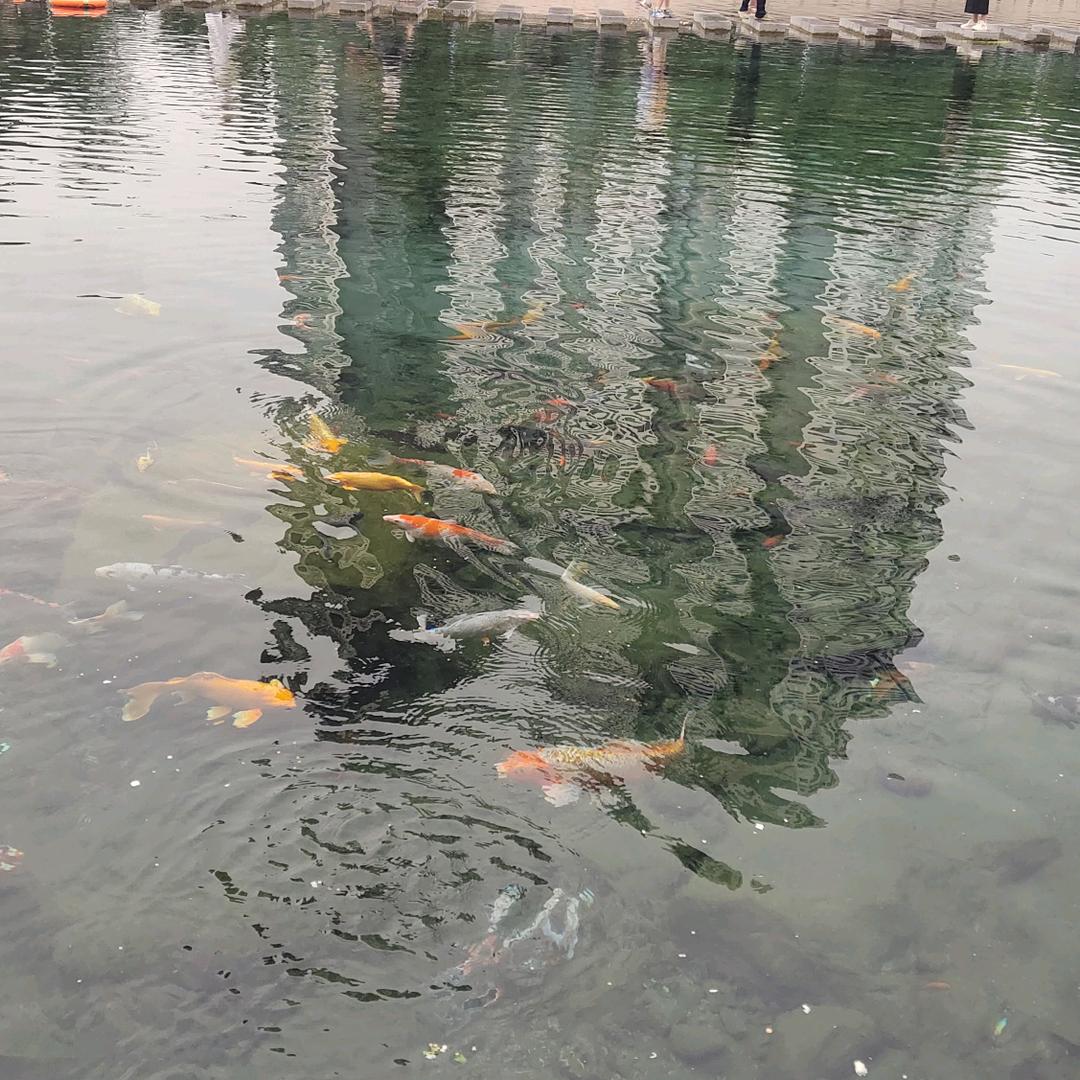 再无一人恰似我