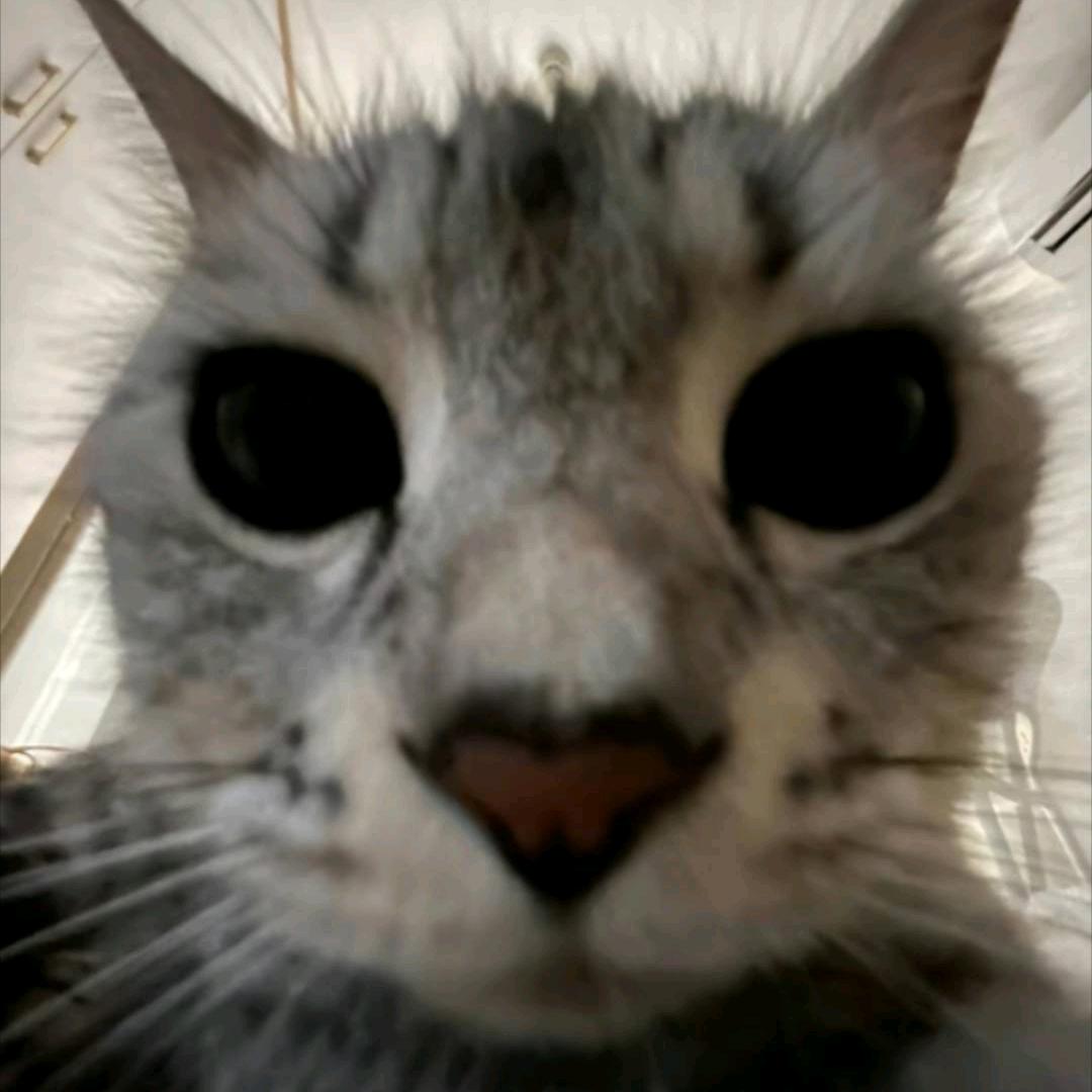 明月清风