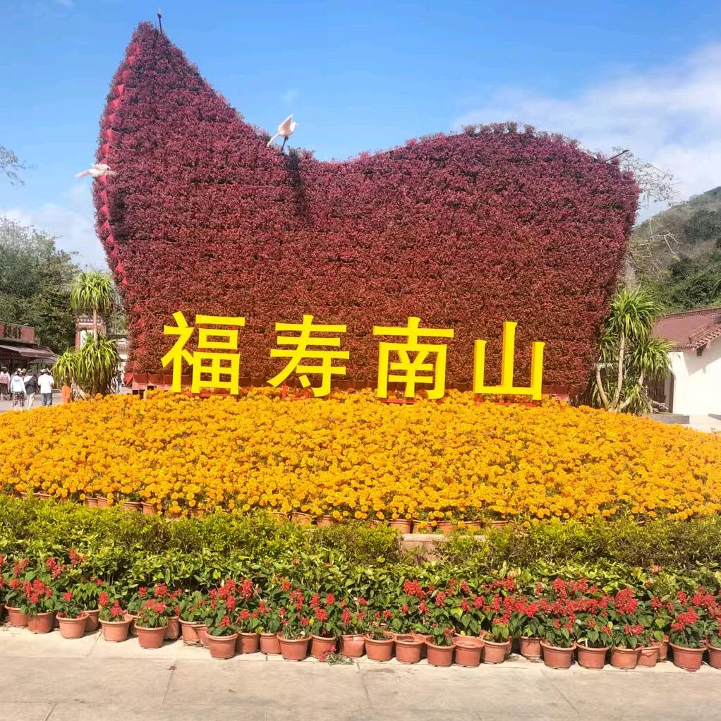 封丘阿里斯顿专卖店