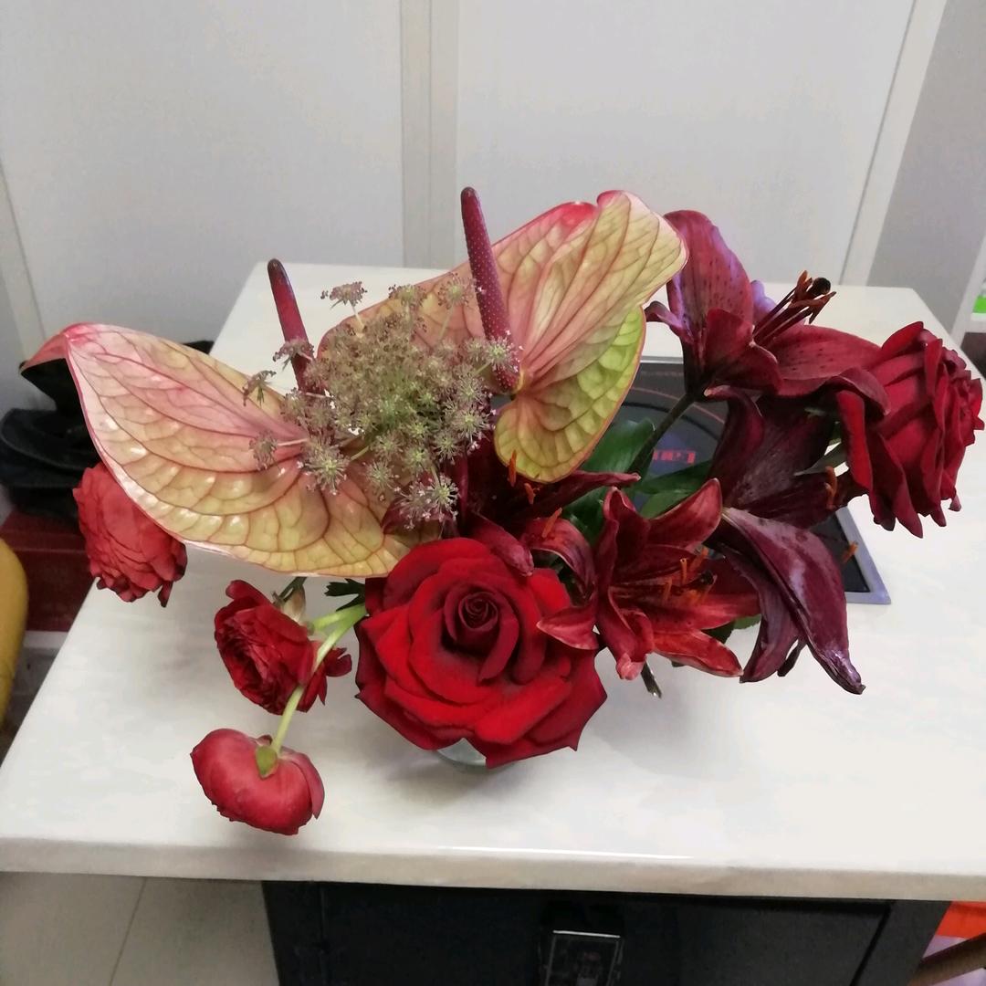 金淇组合