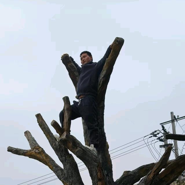 过去的都是陈年往事