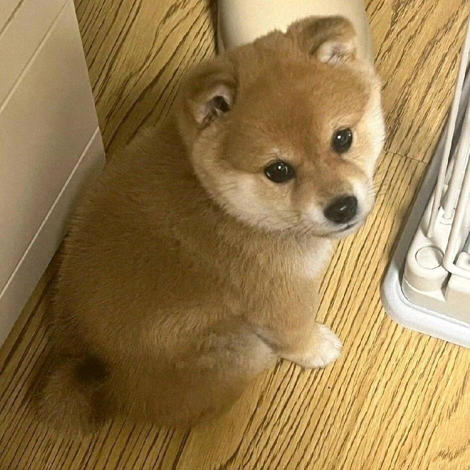 睡一会