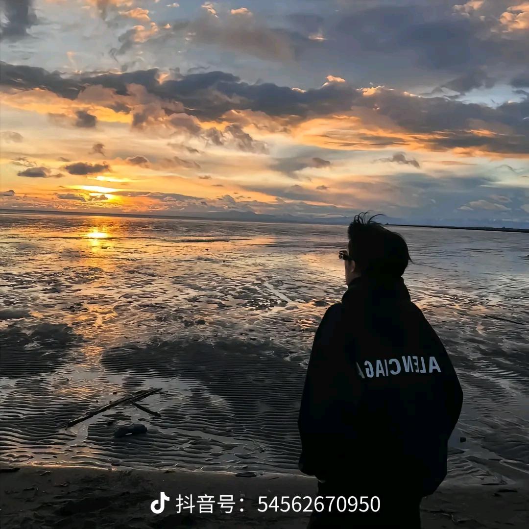 刘总万人迷