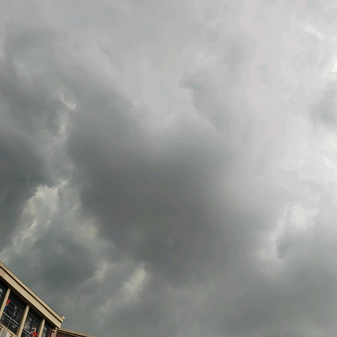 除却巫山不是云