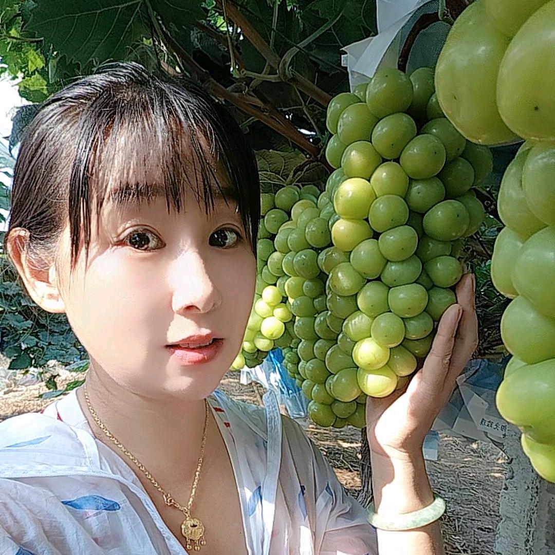 吉星高照的gao