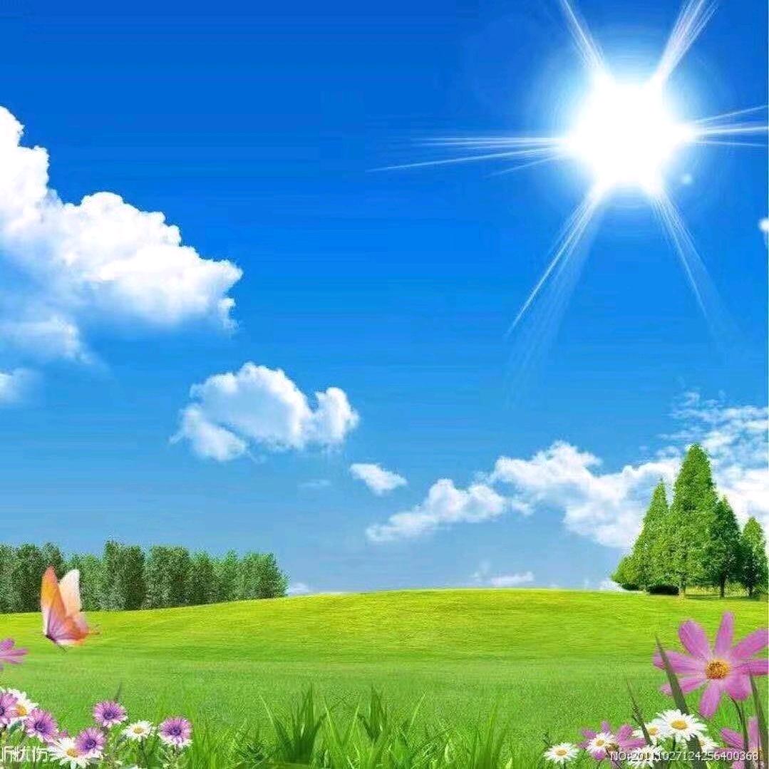 ℳ.滿歌🎶
