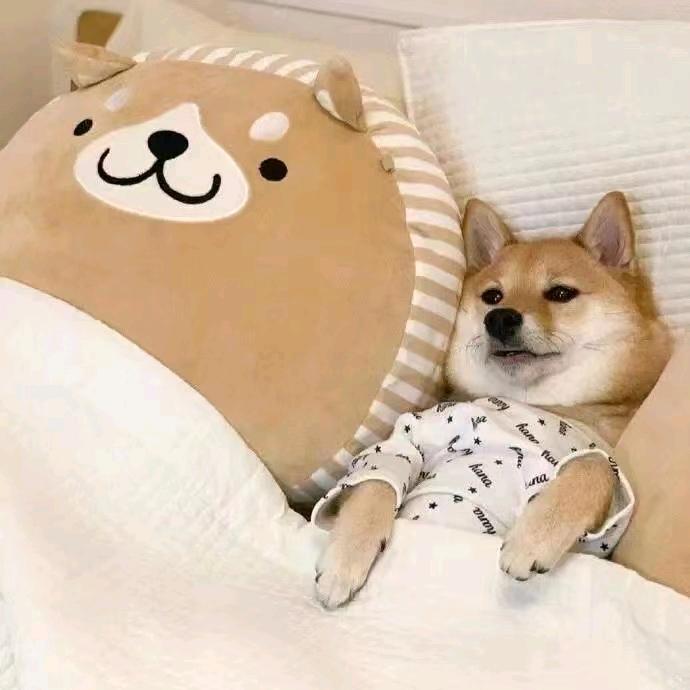 冰翊