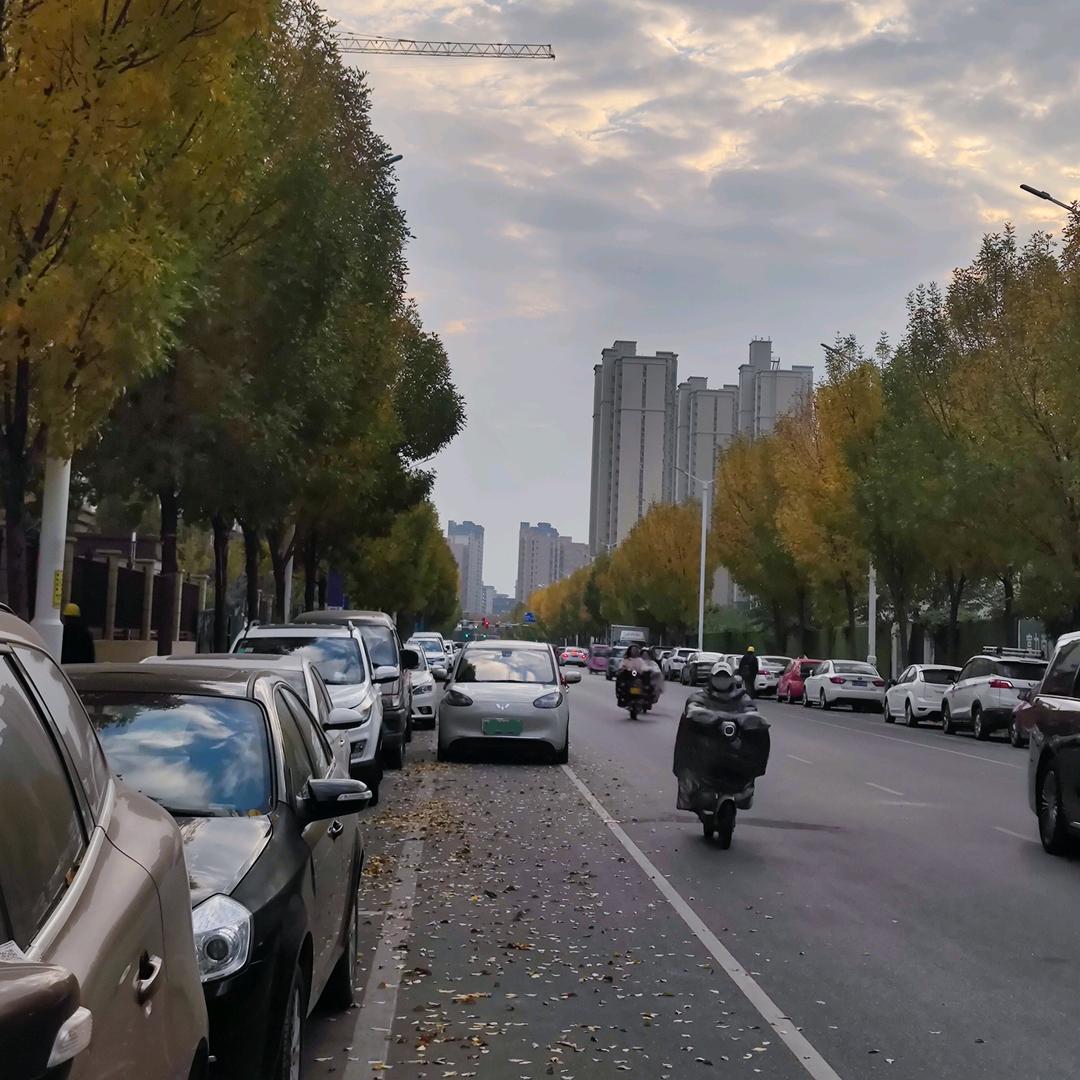 粥粥打工记
