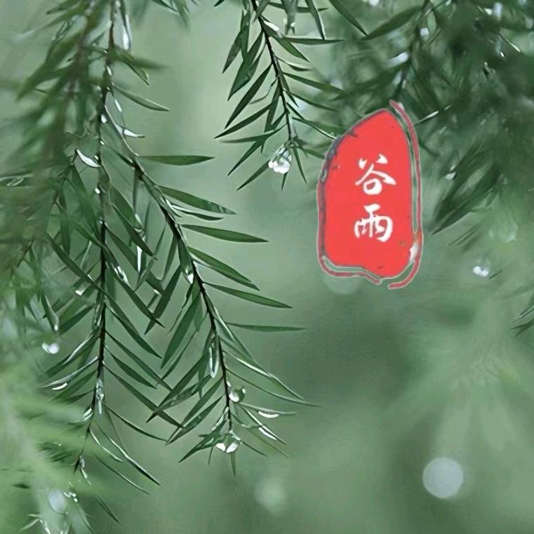 谷雨之声