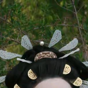 花柠 妻が大好き