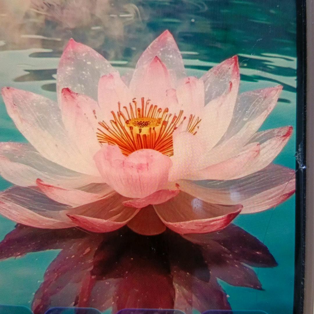 成西
