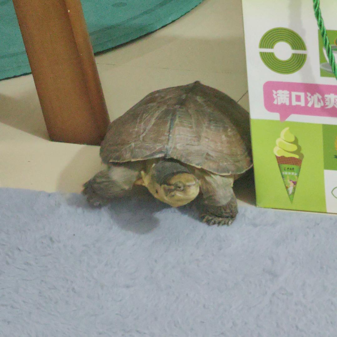 立正就站直
