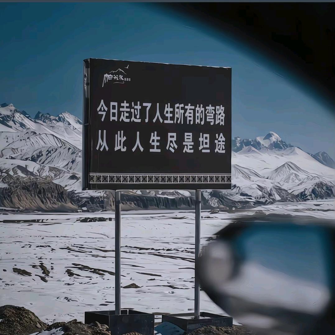 菜头鱼