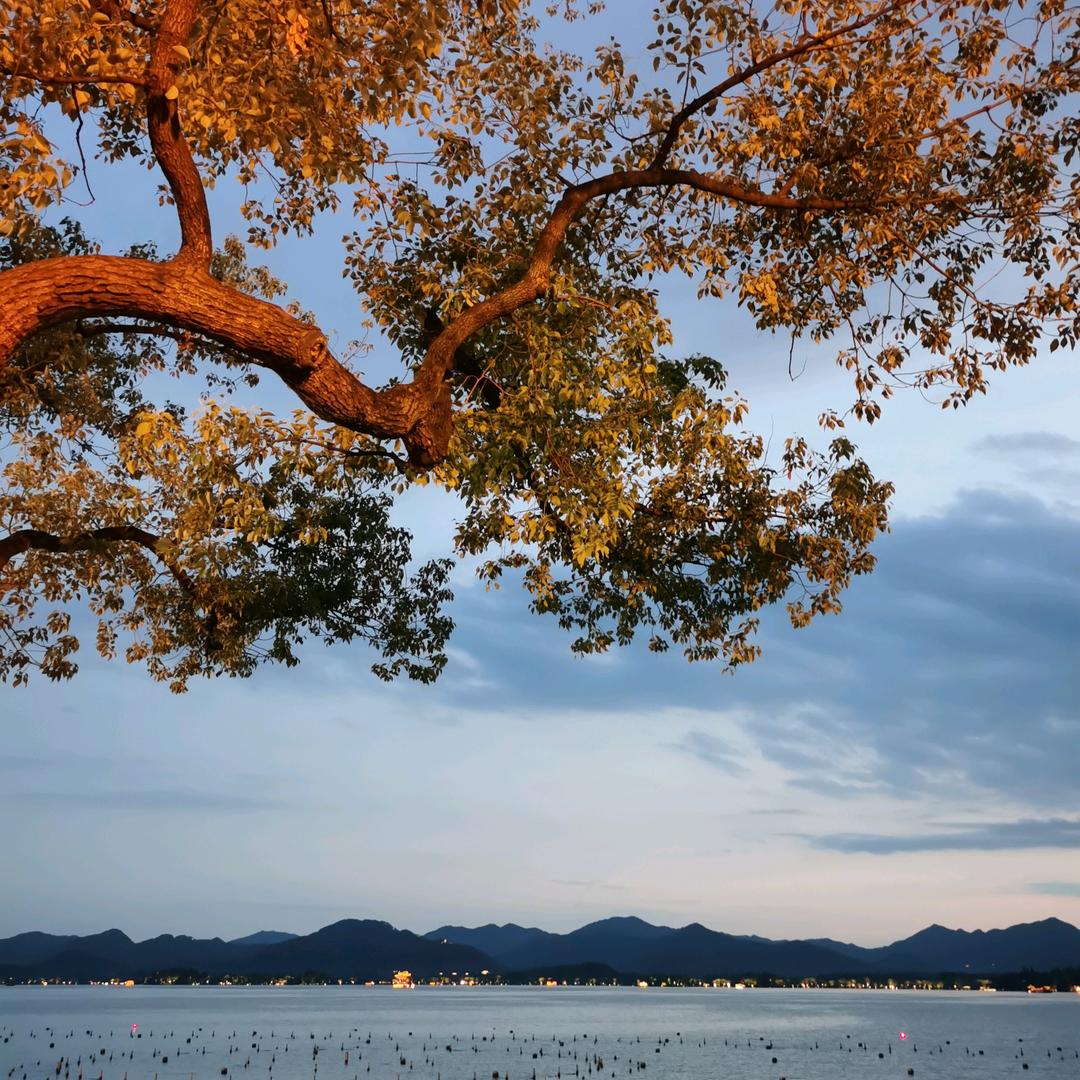 夏沫